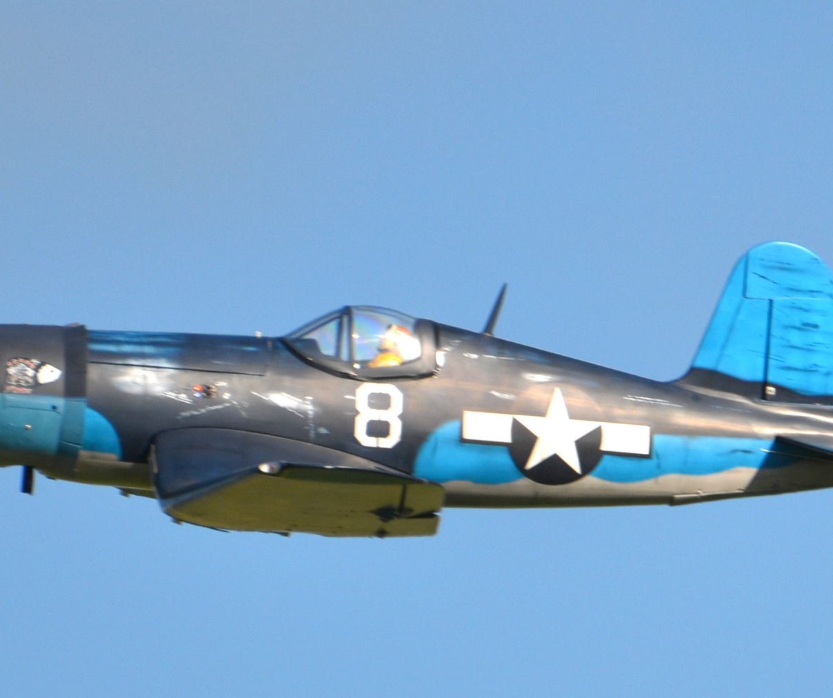 DSC_1924