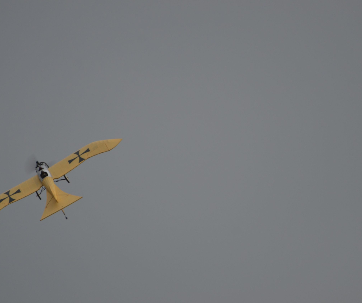DSC_1975